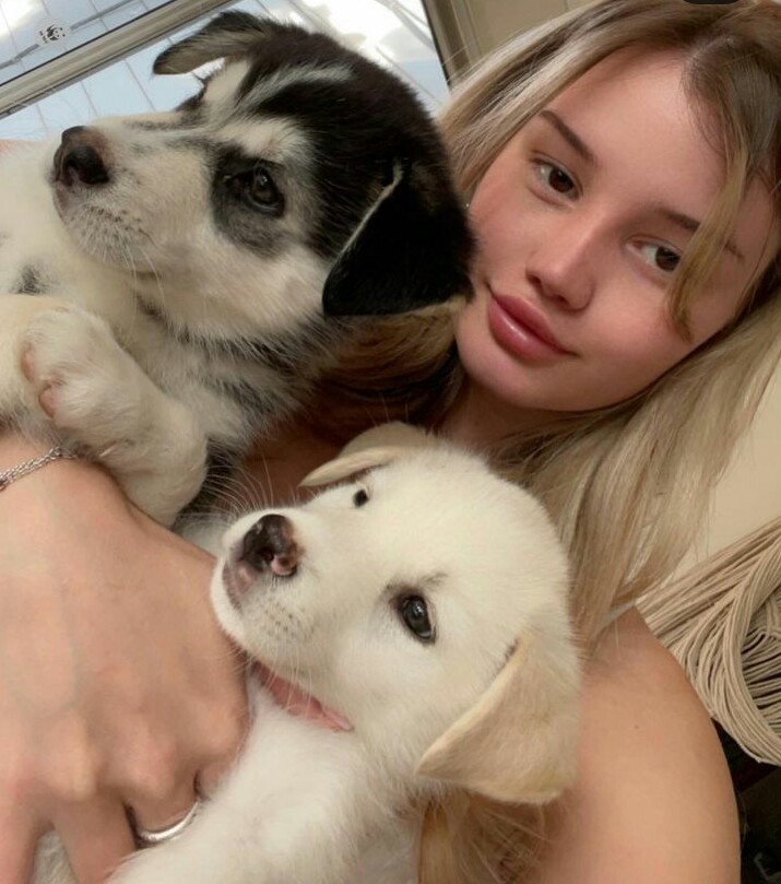 Hello guys. Say hi to my puppies.👋😍