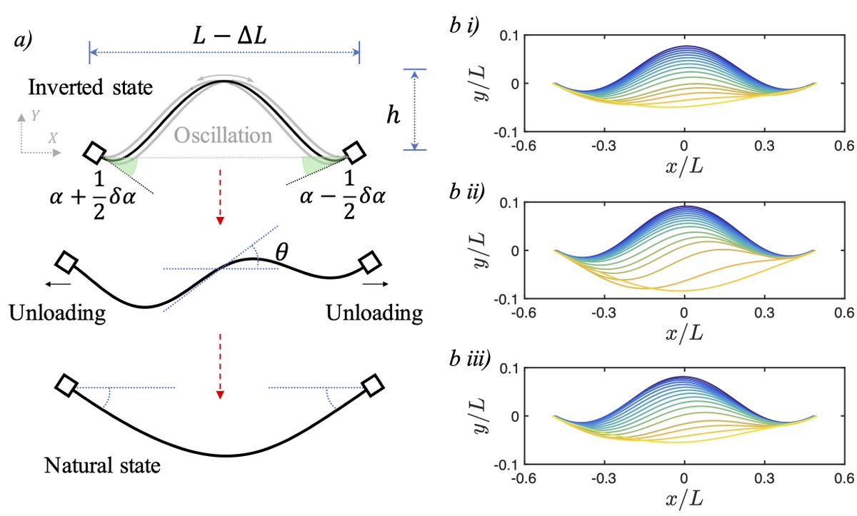 Using numerical simulations and a simplified toy model, researchers analyze the combined effects of shape perturbation and intrinsic boundary asymmetry on the snap-through of a clamped elastic arch and determine its transient asymmetry dynamics.

🔗 go.aps.org/4lCBfYL