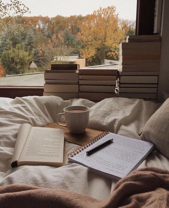 Marielys 📚 tweet media