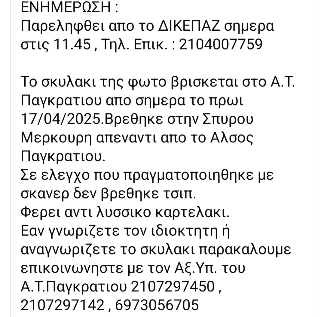 KatKatPt's tweet photo. 🆘️🆘️🆘️
Το σκυλάκι βρέθηκε στο άλσος Παγκρατίου
Δν έχει τσιπ φοράει αντιλυσσικο καρτελάκι
Το ψάχνει κανείς;
Μεταφέρθηκε στο ΔΙΚΕΠΑΖ 
Rt 🙏 🙏 🙏 https://t.co/mObjzpOIvM