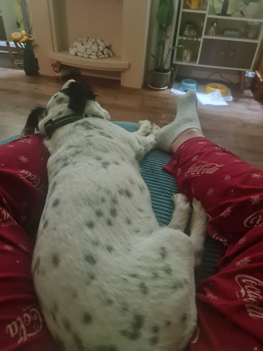 EmmaJanesLife's tweet photo. Well this is annoying when me Prosecco glass is almost empty 🫣😄
#BadPlanning
Also omg how swollen are my feet/ankles from 11 hours standing 🫣 https://t.co/TVxV5cnecC