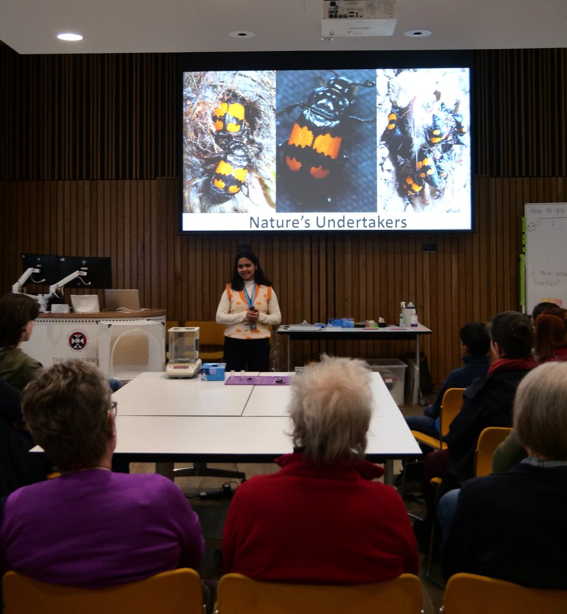kumaririyapati's tweet photo. What an incredible experience leading my interactive Burying Beetle workshop at @EdSciFest 2025. All about sharing hands-on science, real research techniques with curious minds. Huge thanks to @SBSatEd team and ESF for this amazing platform to connect &amp; inspire. #spaceshipearth https://t.co/OR9l9A00li