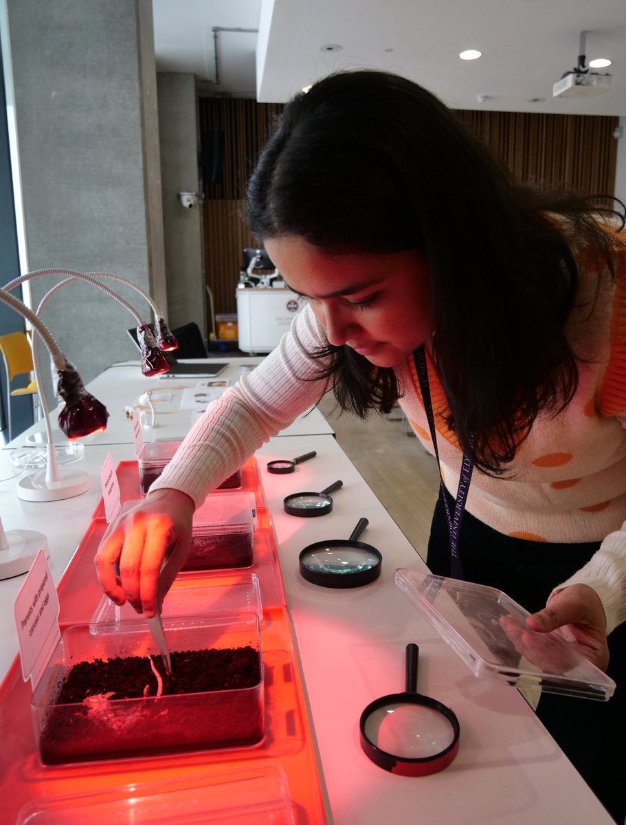 kumaririyapati's tweet photo. What an incredible experience leading my interactive Burying Beetle workshop at @EdSciFest 2025. All about sharing hands-on science, real research techniques with curious minds. Huge thanks to @SBSatEd team and ESF for this amazing platform to connect &amp; inspire. #spaceshipearth https://t.co/OR9l9A00li
