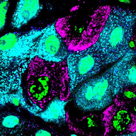 Lucas (@lucas__restrepo) on Twitter photo #FluorescenceFriday some new and old pics #FluorescenceFriday some new and old pics