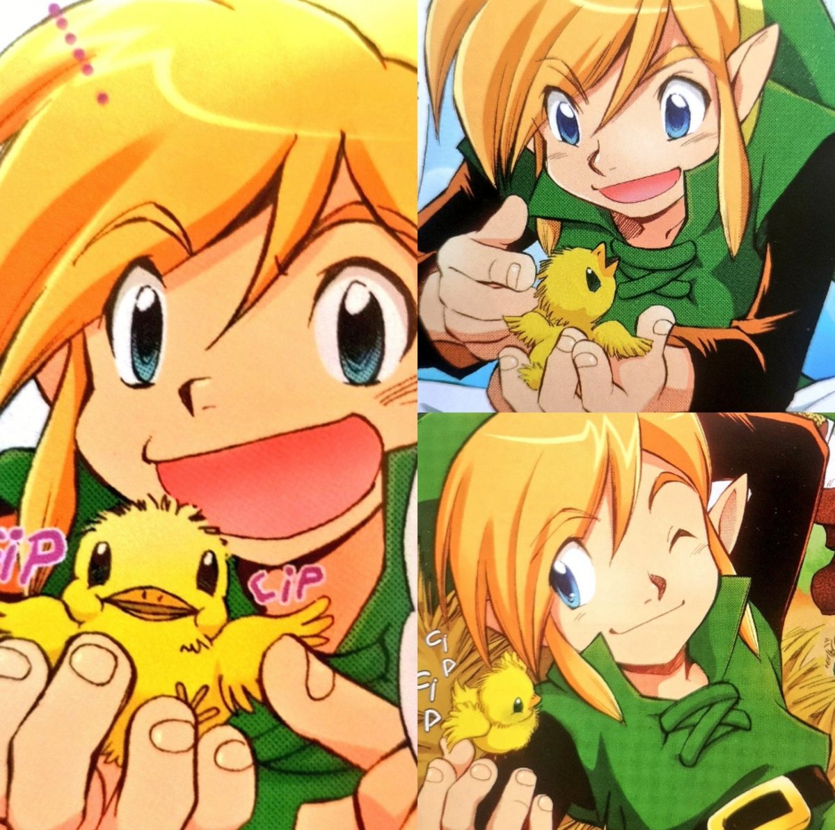 Just manga Link holding a lil cute chick :3