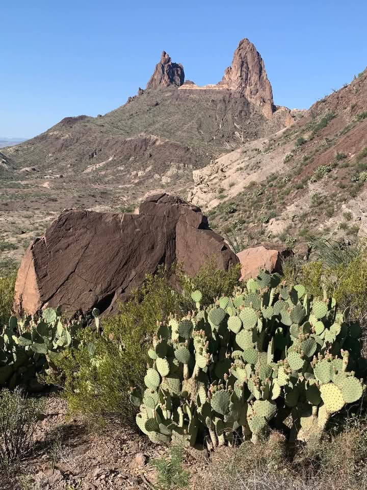 Jgl029185's tweet photo. #bigbendnps #muleears https://t.co/ziW0g5g0u4