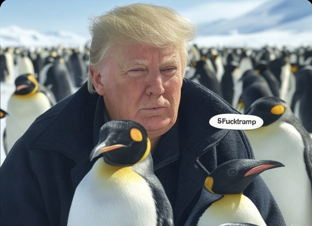 $FTRUMP memecoin tweet media