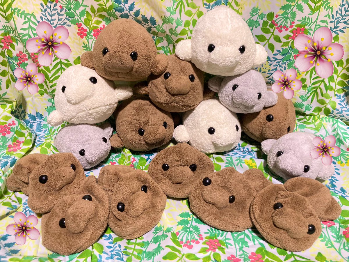 いよいよ本日！ ヤマガタダイカイギュウぷくちゃんぬいぐるみたくさん