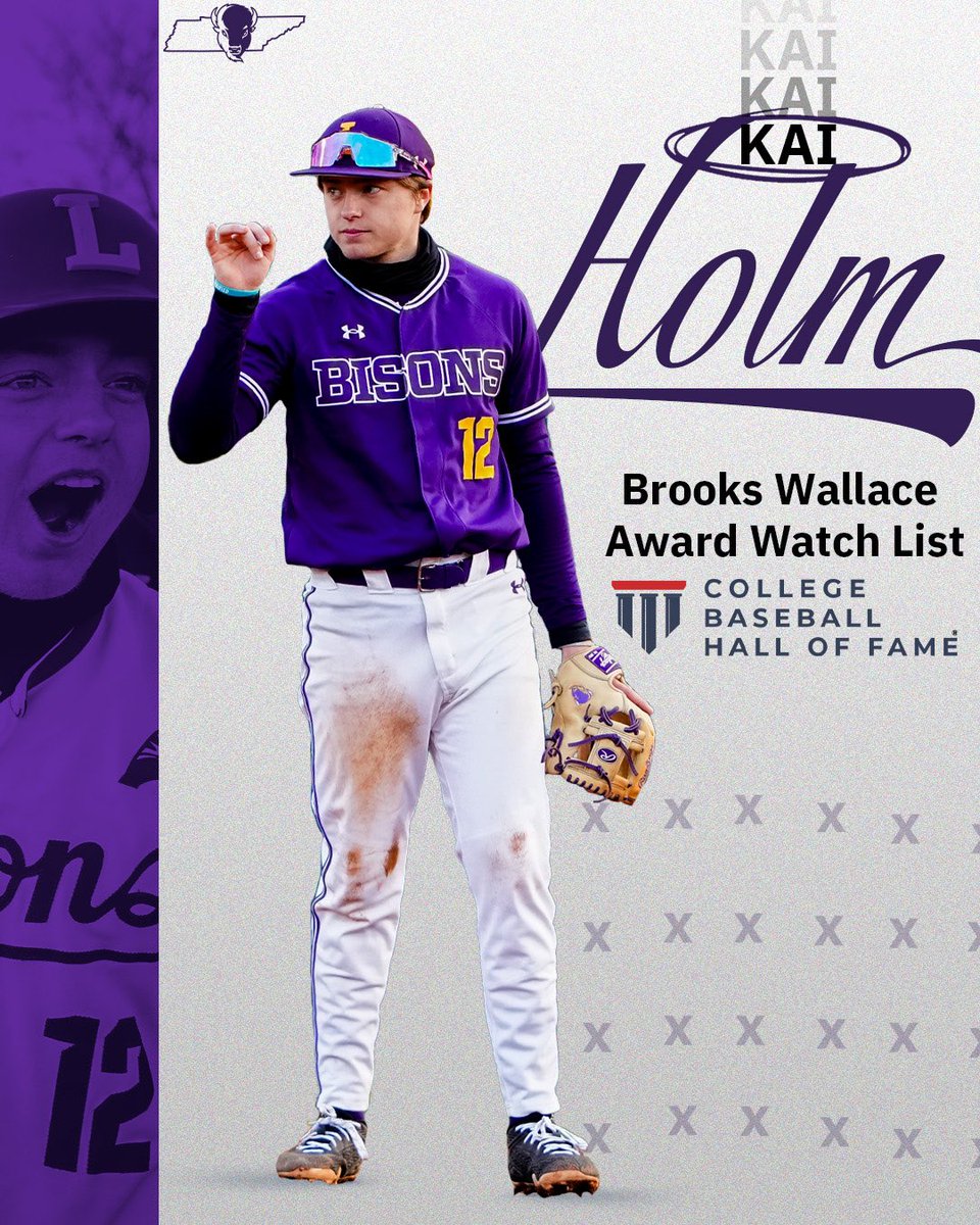 Lipscomb Baseball tweet media