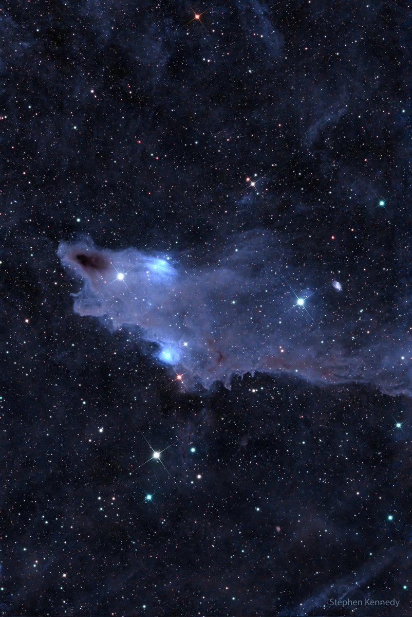 The Shark Nebula 🦈