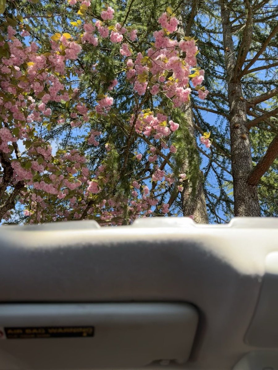 Oh what a beautiful day
