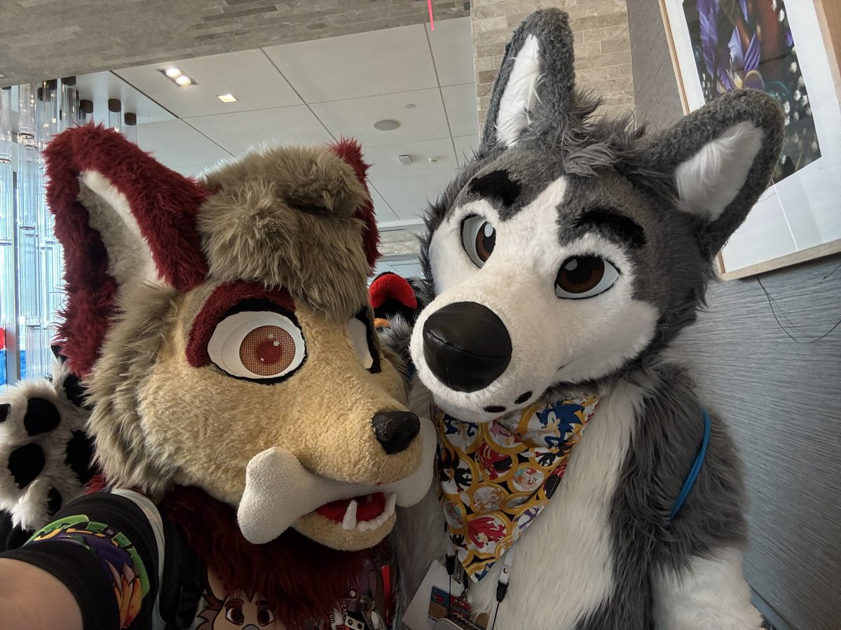 <a href="/CoastHusky/">CoastHusky 🔜 AC | Otakon | IFC</a>