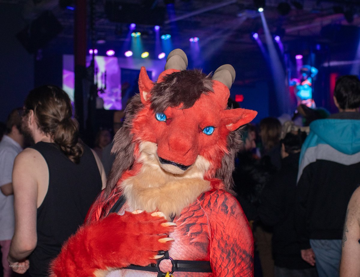 madisonfang's tweet photo. Unleash your inner party animal! 🎉🐺

We have live DJs, performers, food, drinks, and great vibes. You definitely don’t want to miss out! ⚡️

🔹 21+
🔹 Saturday, May 31st, 2025.
🔹 3116 Commercial Ave, Madison, WI.

🐲@realdud_bass 
 
#FursuitFriday #MADTOWNFANG https://t.co/ZmwlzBmAL8