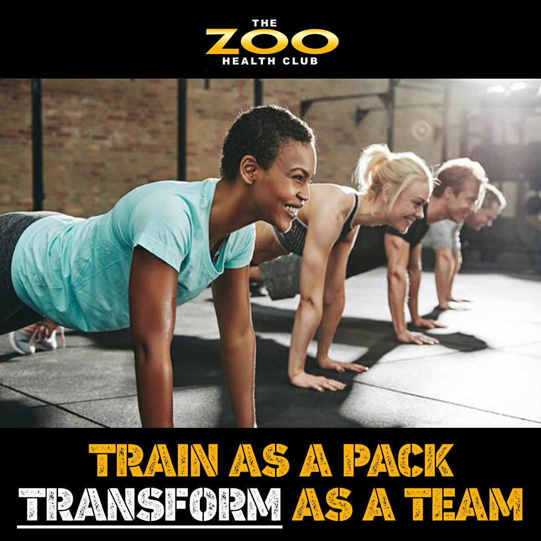 ZooGym's tweet photo. Whether you're pushing through circuits or celebrating progress, our group sessions are designed to challenge you, support you, and keep you coming back for more.

Visit our website at: 🌐 https://t.co/bIq6ltDFee or call us 📞 (954) 449-4709

#zoogym #FranchiseOpportunity https://t.co/DPFaO5vpOe
