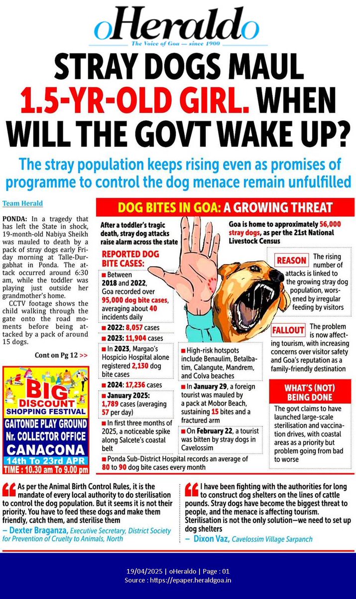 SannaCutter's tweet image. epaper.heraldgoa.in/article/oHeral…
#Goa   #DogAttacks   #StrayDogs   #Tourism