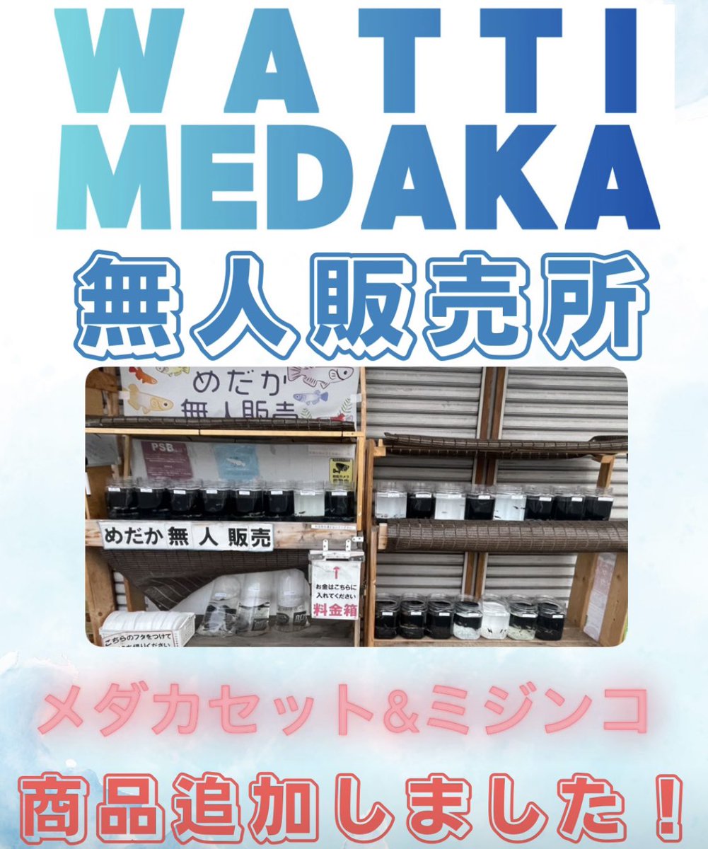 watti_medaka (@watti_medaka) / Posts / X