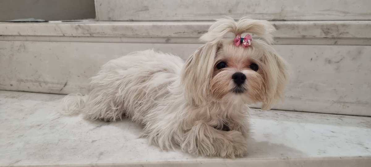 Siempre es buen momento para presumir de mi bebé😍