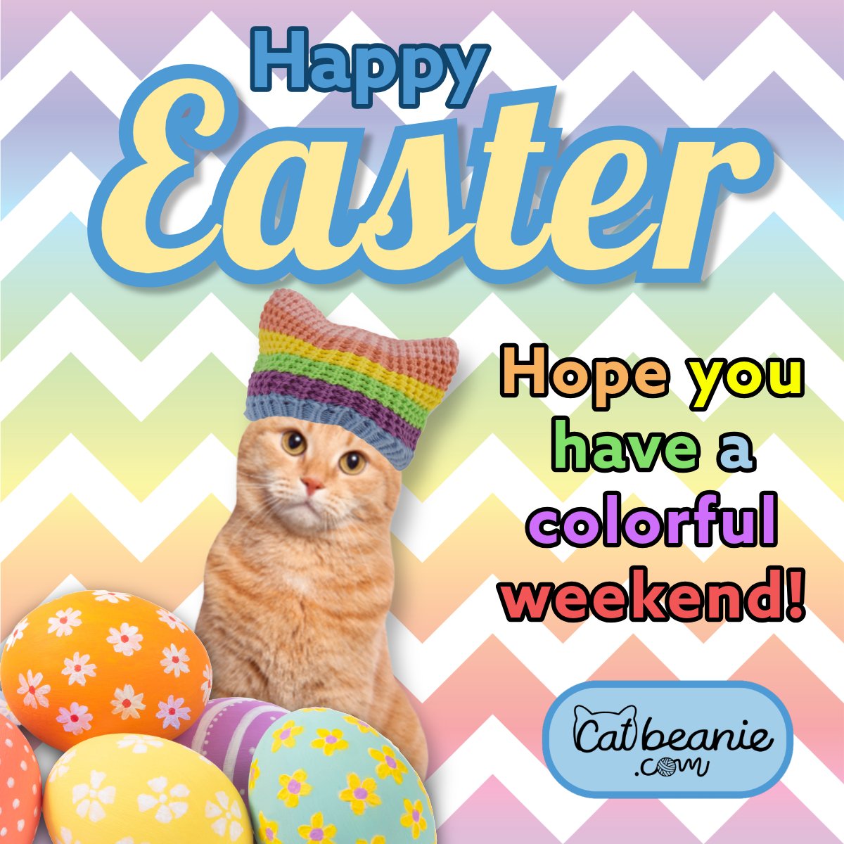 catbeaniedotcom tweet media
