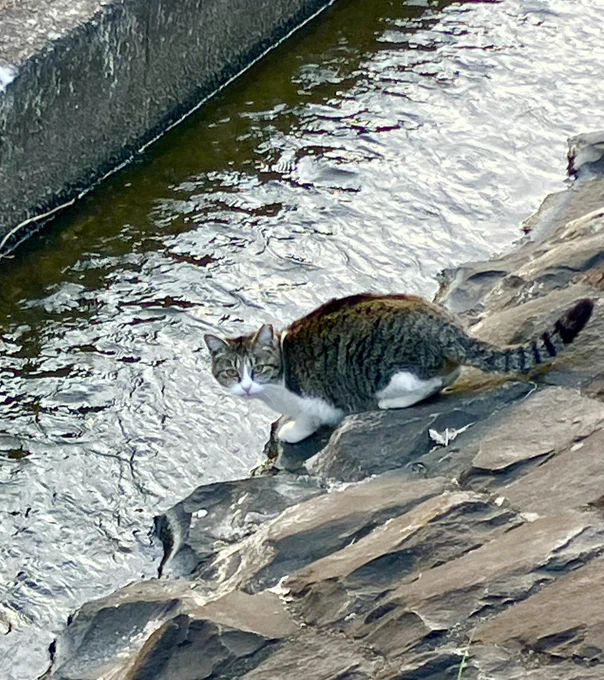 おはようございます 