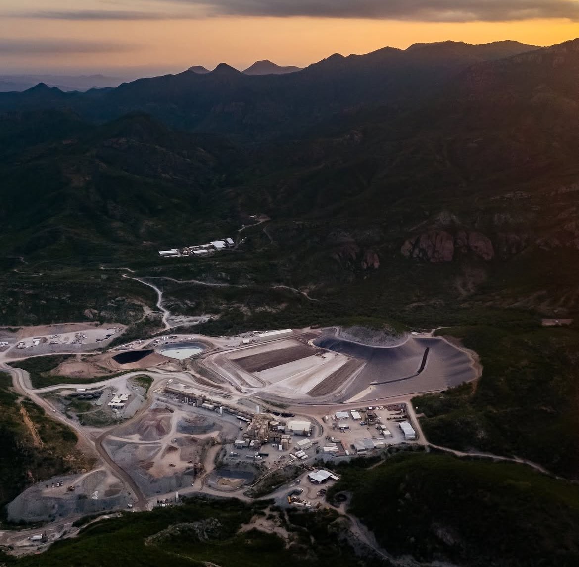 Intelliwealth tweet media