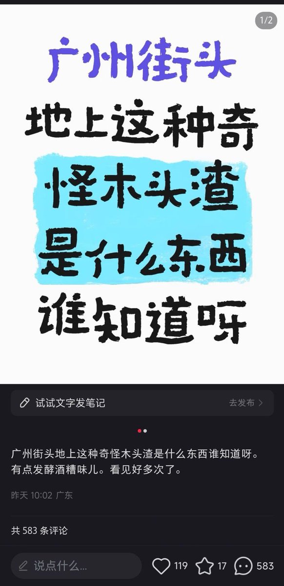 Yosannana's tweet photo. 我知道，这是迷你椰子，小时候经常拿起来搓着玩😃 https://t.co/yVcKbACRp6