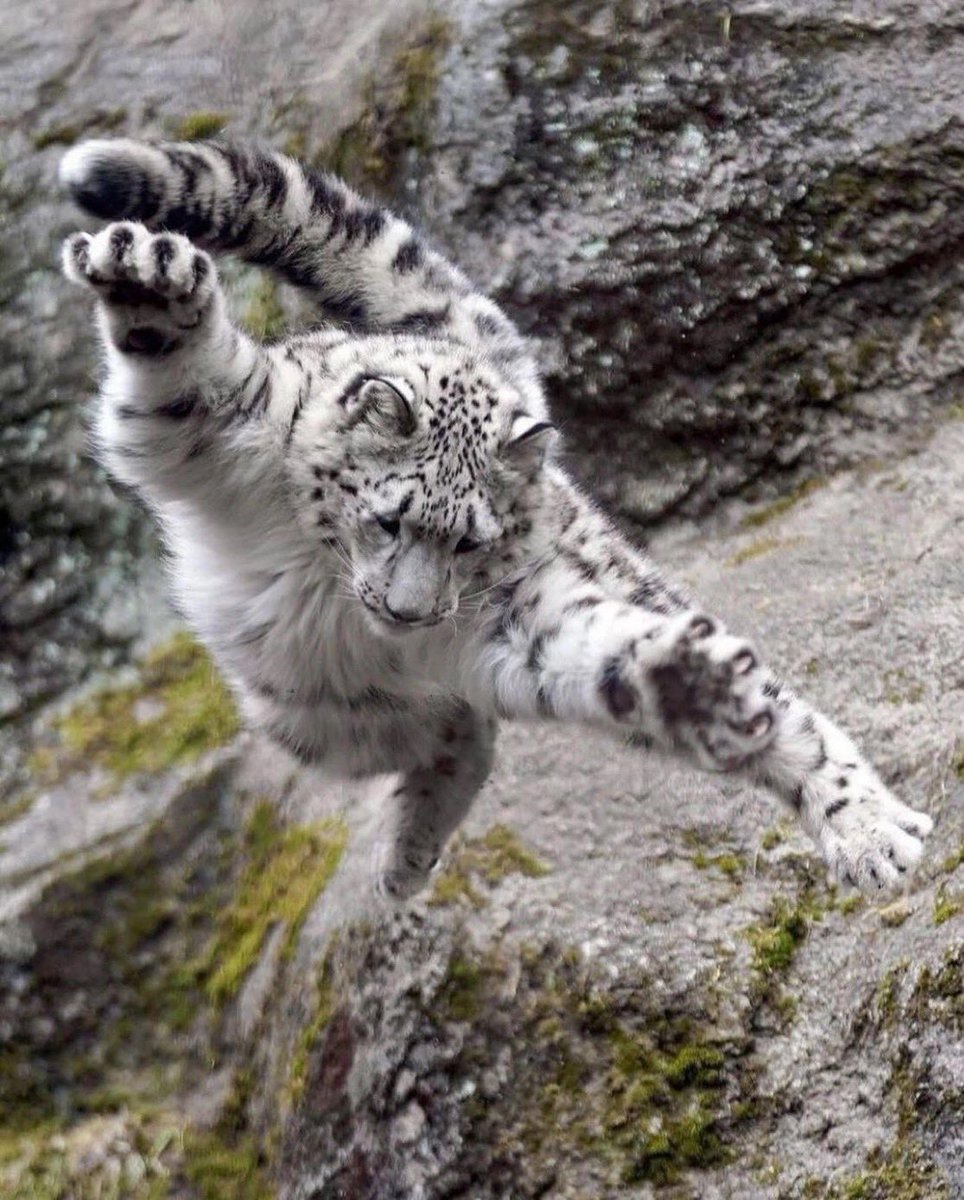 EuroValentino's tweet photo. The world belongs to the energetic. Take it. https://t.co/se0mnP5yGp