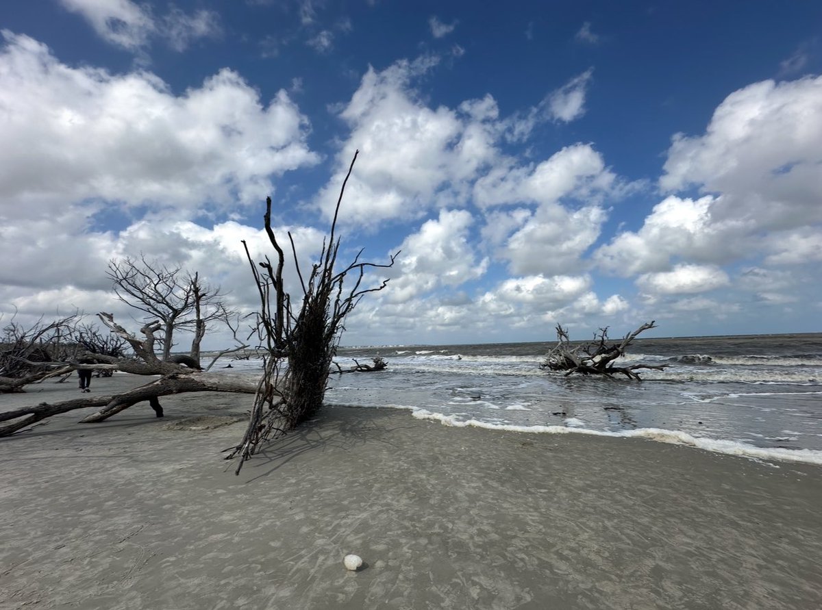 MSEPC__'s tweet photo. 2025 EMAG conference in the beautiful Jekyll Island, GA!
Ashton Anderson, the Director of Safety and Emergency Management at Regional One Health, gave a fantastic talk about how checklists can be game-changers in mass casualty incidents (MCIs). https://t.co/htJyAt1jMm