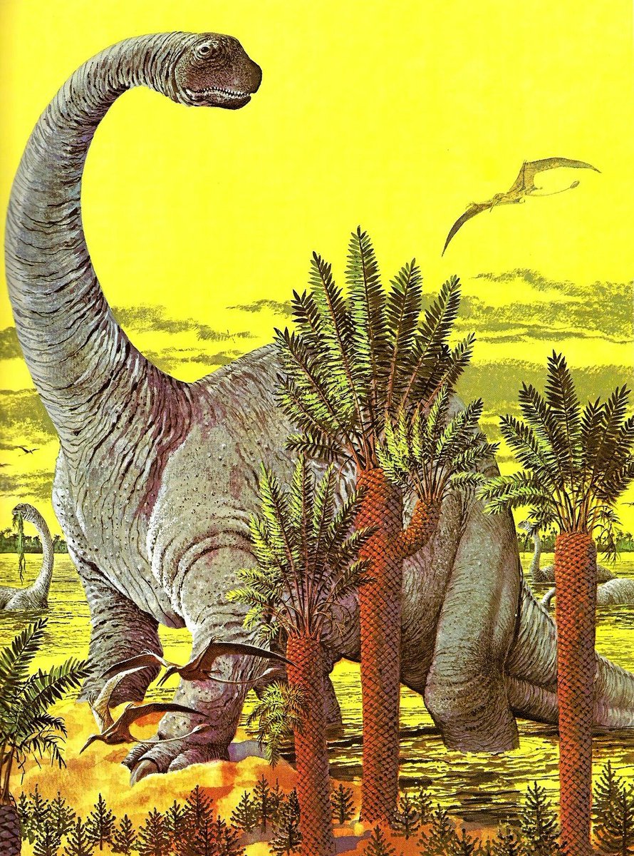 70s Sci-Fi Art tweet media