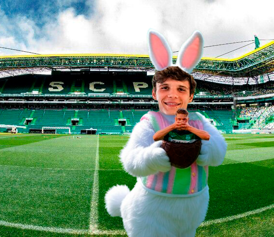 tiagodteixeira tweet picture