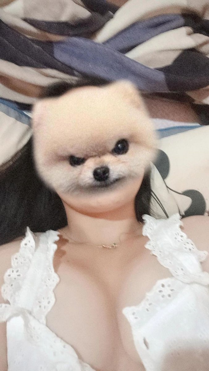 clyynly's tweet photo. gabut dm yu https://t.co/OfEInC3Mju