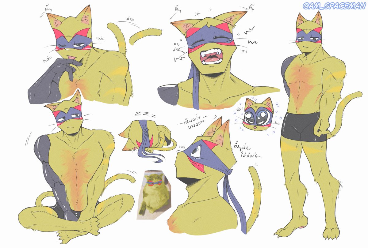 Lawta🦦 | commisssion open tweet media