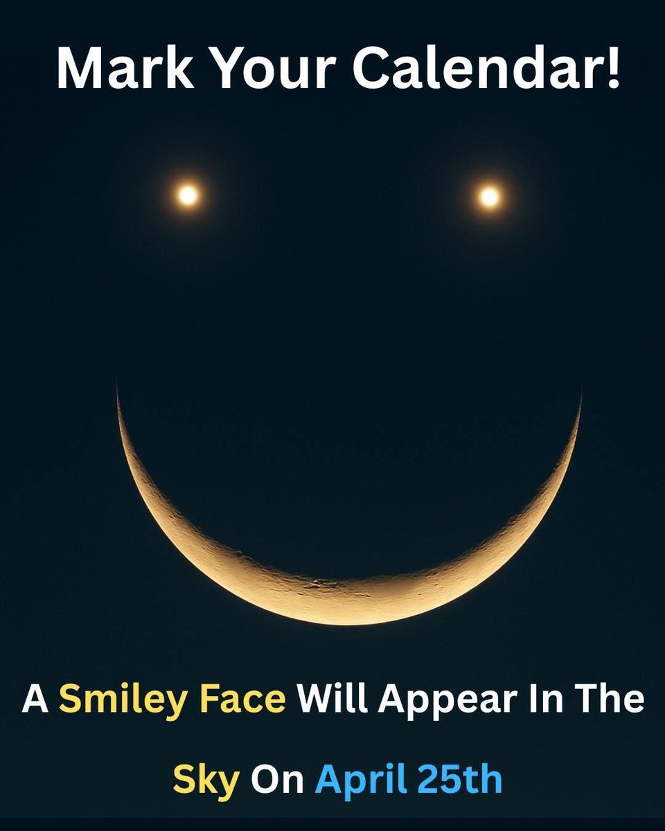 ✨EveOfLight✨ tweet media