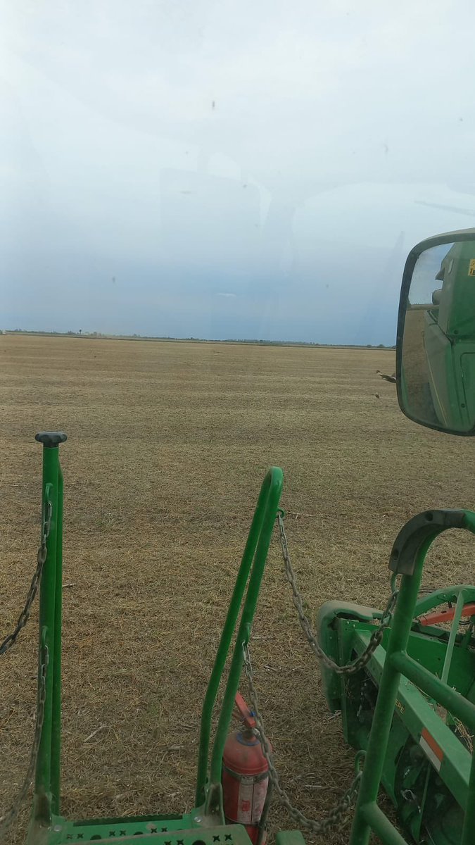 Circulo Verde tweet media