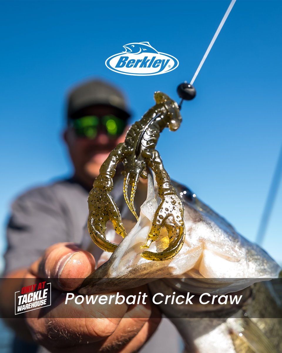 TackleWarehouse's tweet photo. Shop Now π https://t.co/PWUcmrjf7v
Giving anglers the perfect crawfish plastic for targeting spooky giant bass, the #Berkley Powerbait #CrickCraw is a hyper-realistic action craw designed with the collaborative genius of Elite Series Angler #JohnCox, Berkley, and the @TackleWarehouse Staff.
π₯TW Exclusive!
#TackleWarehouse #TWExclusive #Berkley #CrickCraw