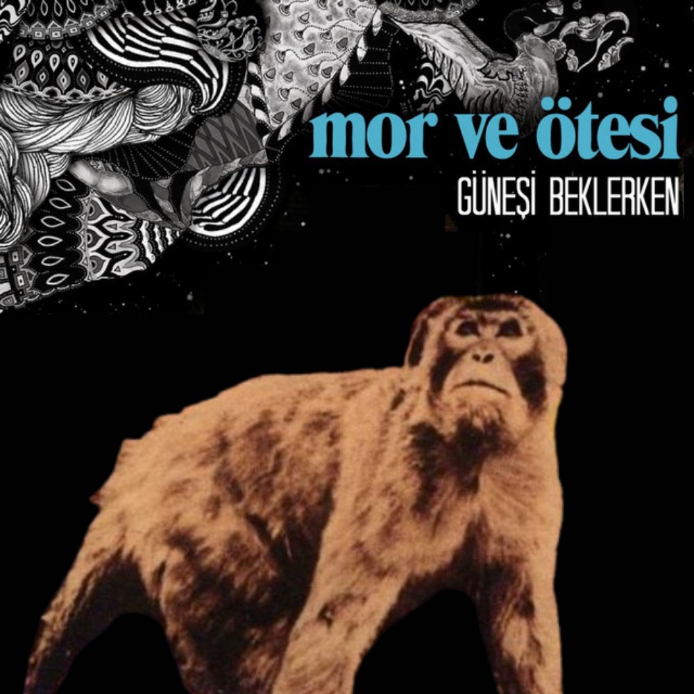 bırak güneş aksın