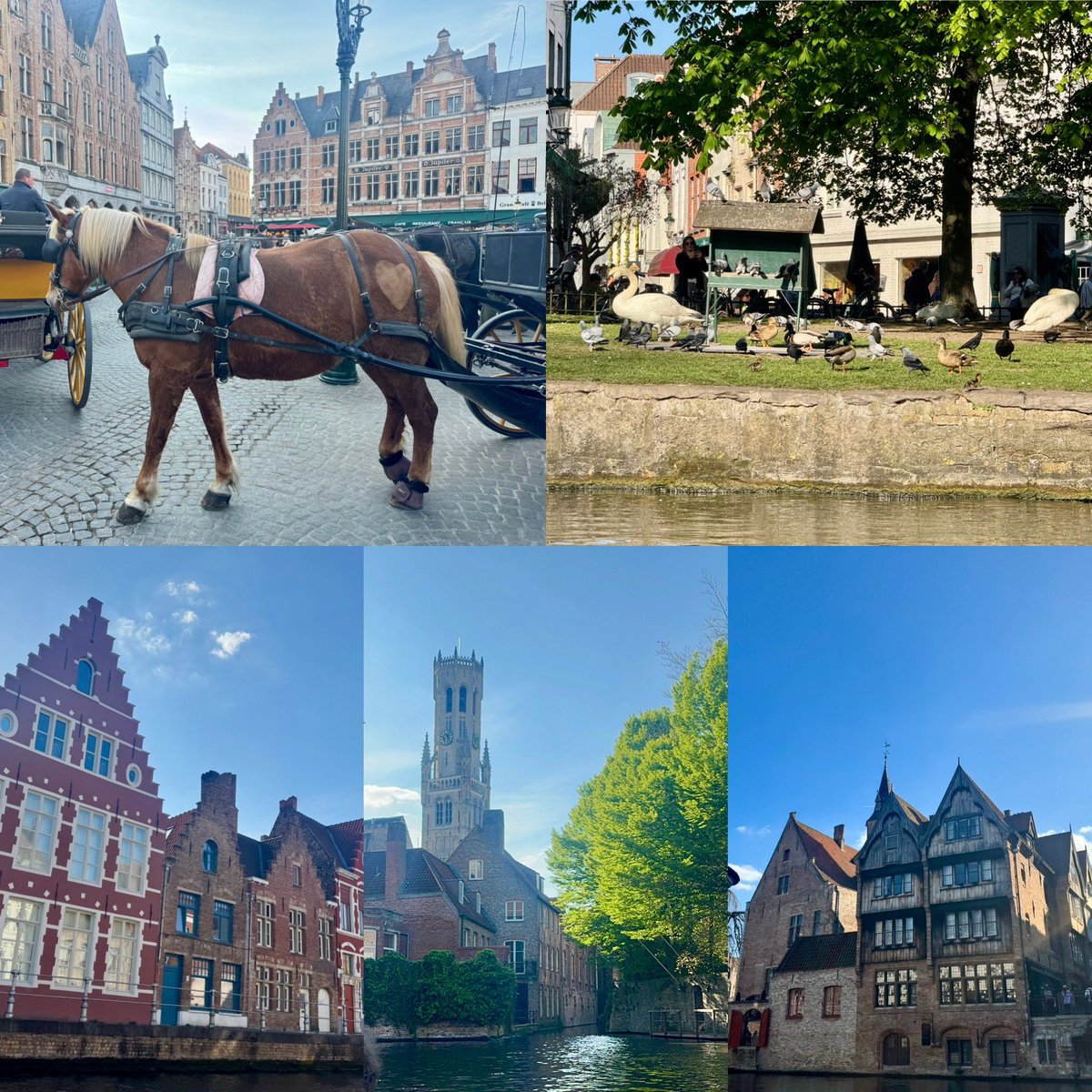 KevinSaludares 🔜 MCO 🔜 LAX 🔜 Lima 🇵🇪 🔜 ORD tweet media