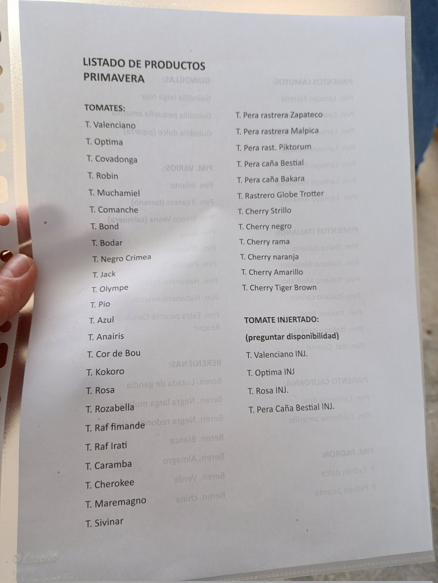 Pep Muñoz Rubio 🍊 tweet media