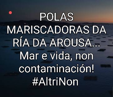 FucoPerez's tweet photo. #AltriNon 
#EucaliptosForaDaGaliza
*Fotografía de: Mónica Vila Ferreiros https://t.co/Z2ptnEsx6U