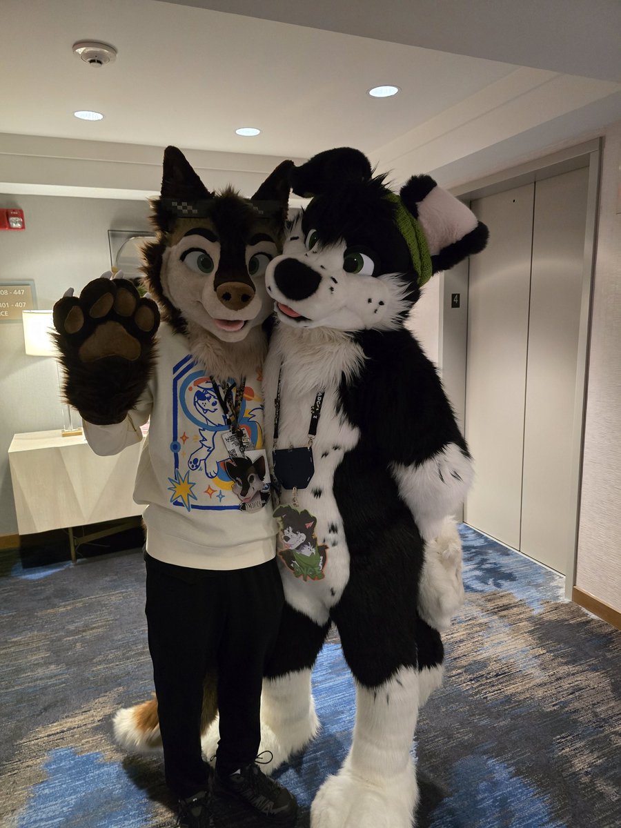 Amarok Husky (@amarokhusky) on Twitter photo Happy #fursuitfriday everyone ^^
Got a picture with the cute <a href="/Dyceycollie/">🌿🌿 Dycey 🌿🌿</a> at ANE 2025 🥰💙
📸 <a href="/Yin_Rave/">🐺Yin🐺 🔜 EF2025</a> Happy #fursuitfriday everyone ^^
Got a picture with the cute <a href="/Dyceycollie/">🌿🌿 Dycey 🌿🌿</a> at ANE 2025 🥰💙
📸 <a href="/Yin_Rave/">🐺Yin🐺 🔜 EF2025</a>