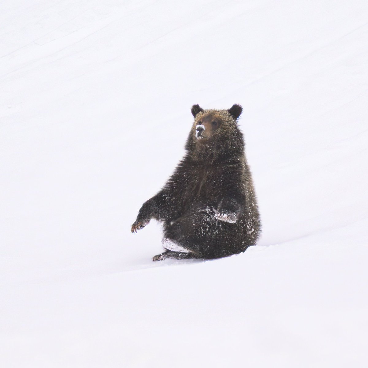jakeysfork's tweet photo. Om mani padme hum

@visitwyoming https://t.co/LI3nb0fdN6