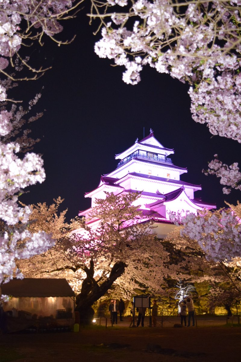 x1father's tweet photo. ＃満開　＃鶴ヶ城　＃夜桜 https://t.co/UIXEFUHVxu