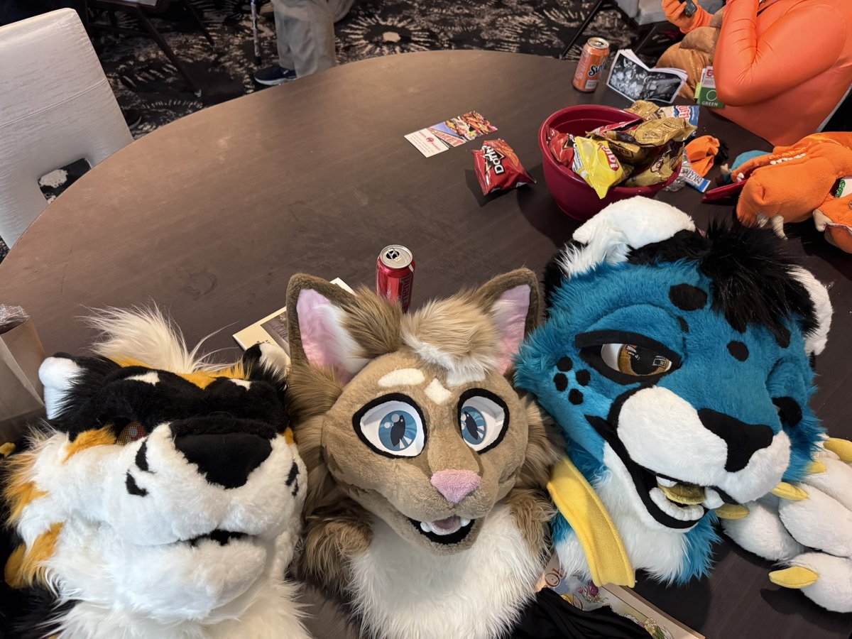 Kitty gang :3