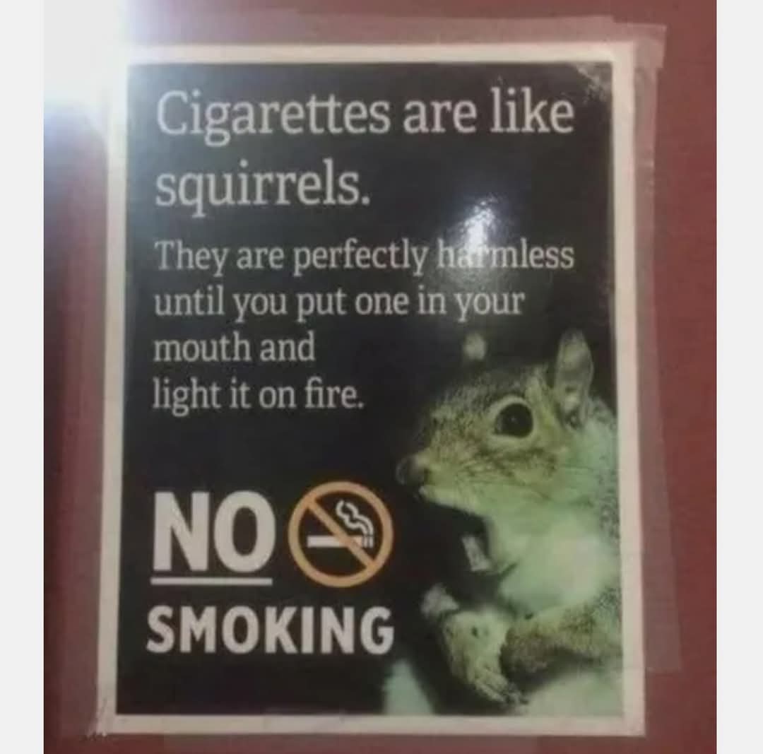 order2cha0s87's tweet image. #SquirrelArmy