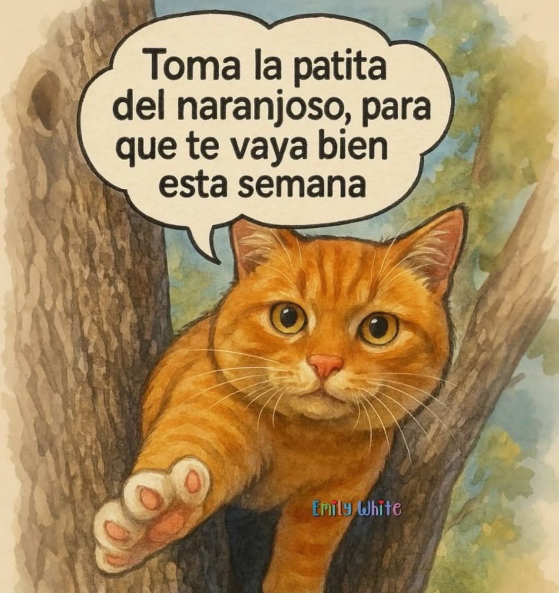 Pensamientos (@frasesimple) on Twitter photo 