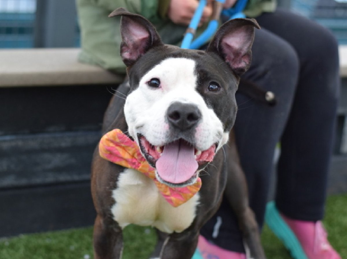 Not the Same tweet media