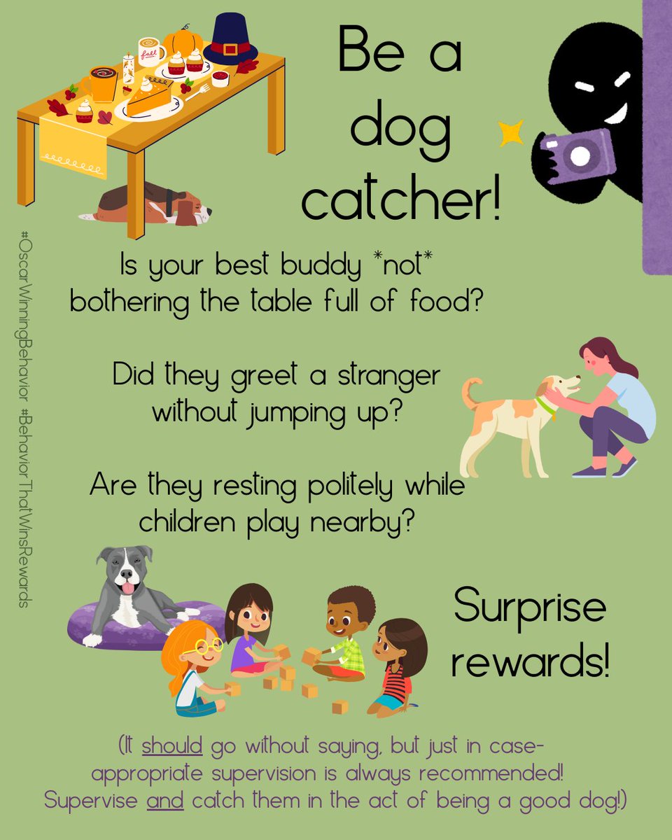 OscarWinning's tweet image. When we plan a special training session, we give our dog cues that this is a different scenario than they will experience in real time. Increase desired behavior by catchin your dog in the act and rewarding then!

#OscarWinningBehavior #DogLove #HappyDog #LifeWithDogs