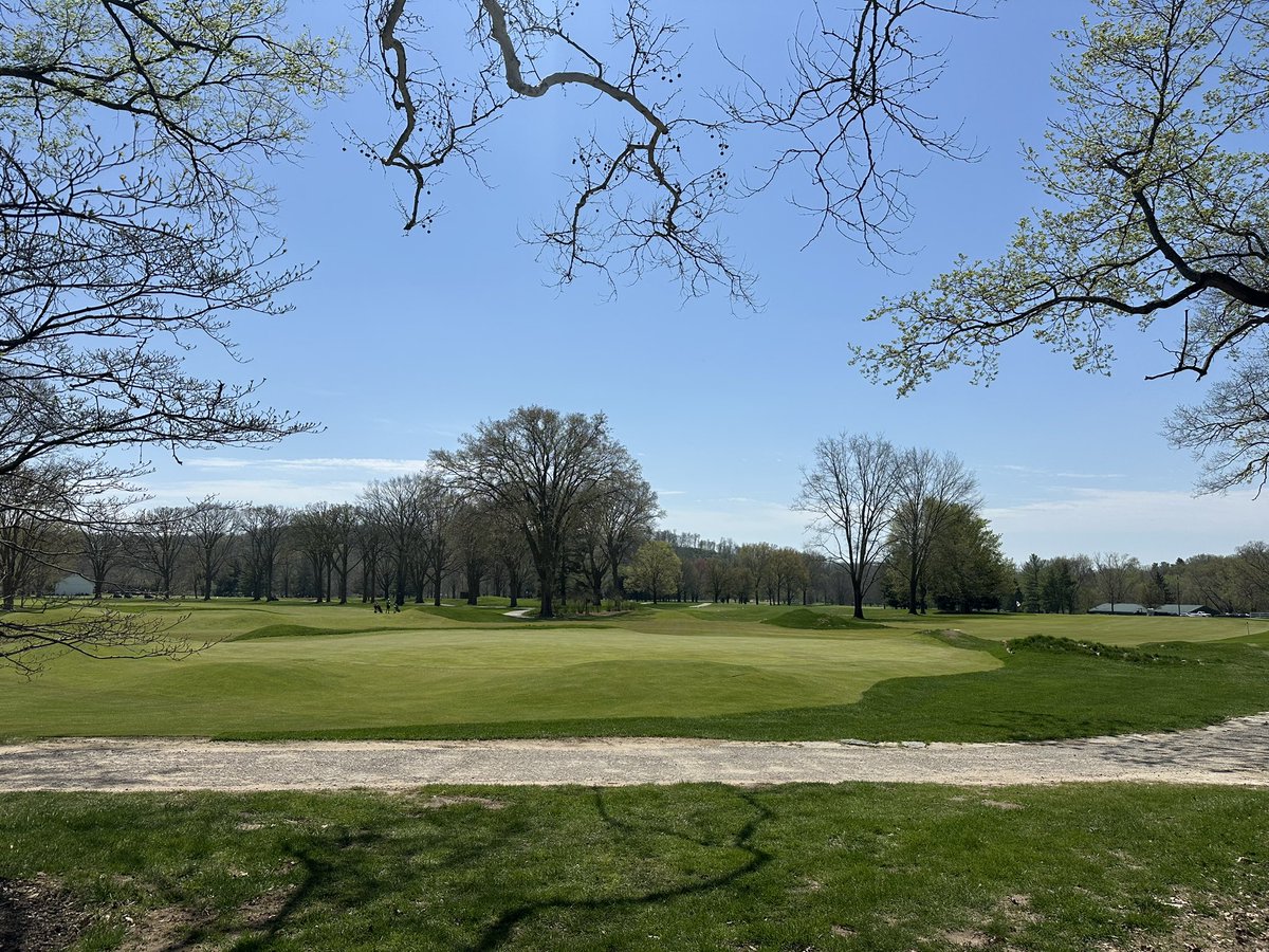 Renovated holes shining today. Pins will return to the greens next week! Still plenty of fine-tuning in the sand but the turf has rooted and can handle traffic.