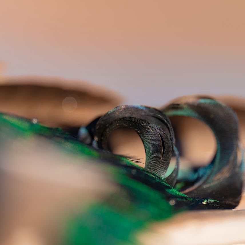 Details. 

📸 <a href="/campuswaterfowl/">Campus Waterfowl</a>

#kentcartridge #outdoors #waterfowl #ducks #geese #waterfowlseason #hunting