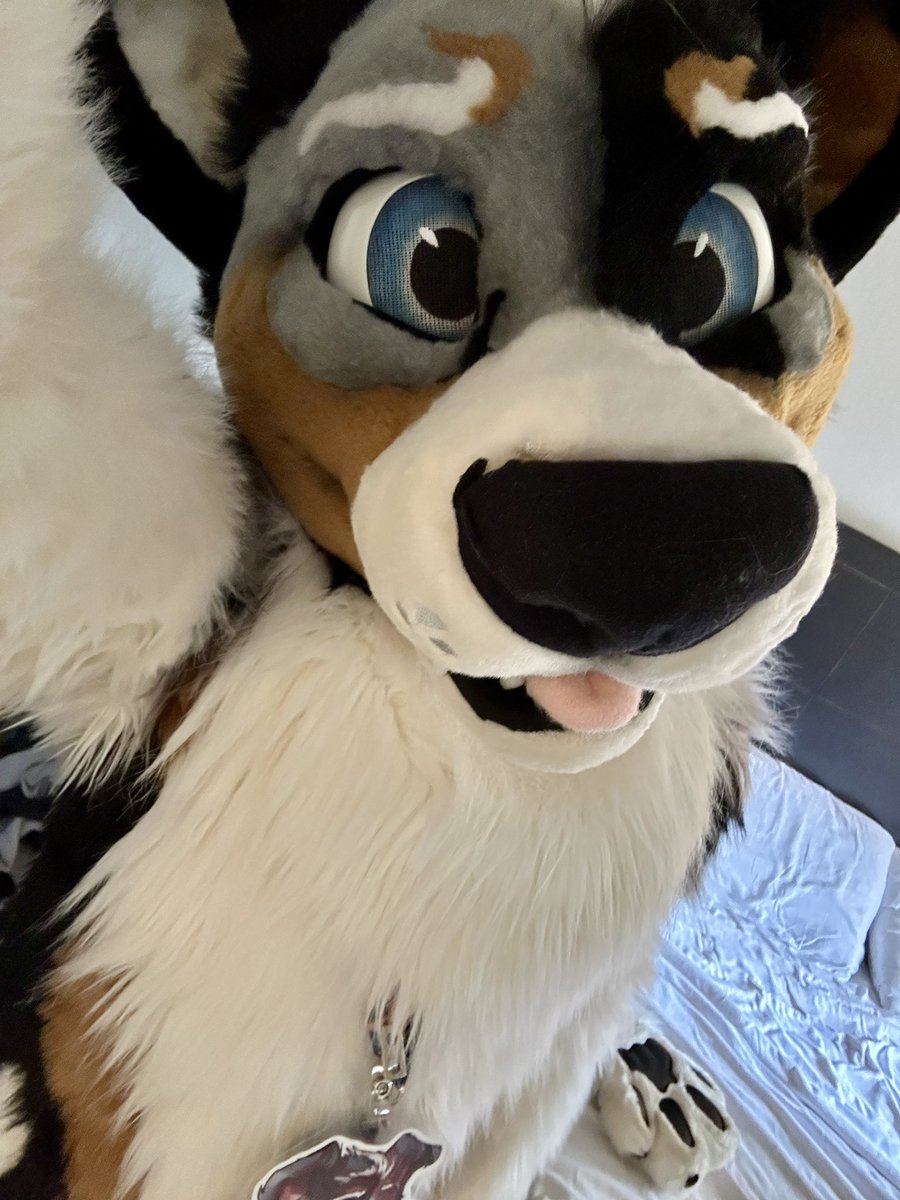 Ooops turned into a dog again 😅  

#LVFC2025