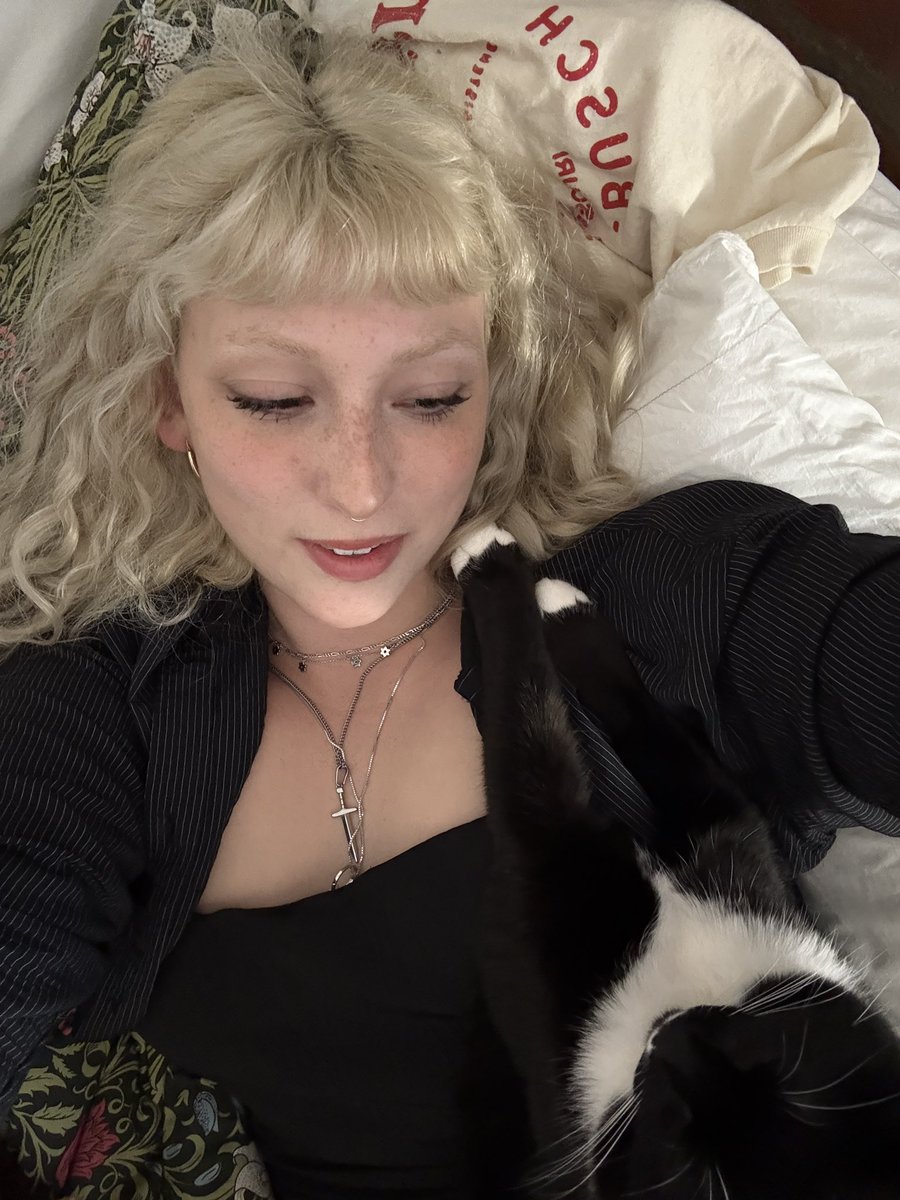 trophywimp's tweet photo. baby cat https://t.co/aTBea1XbtP